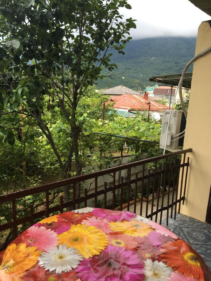 غاغرا Orhidea Guest House المظهر الخارجي الصورة